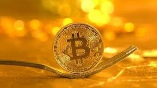 2022年派币(2022年派币能成功吗)